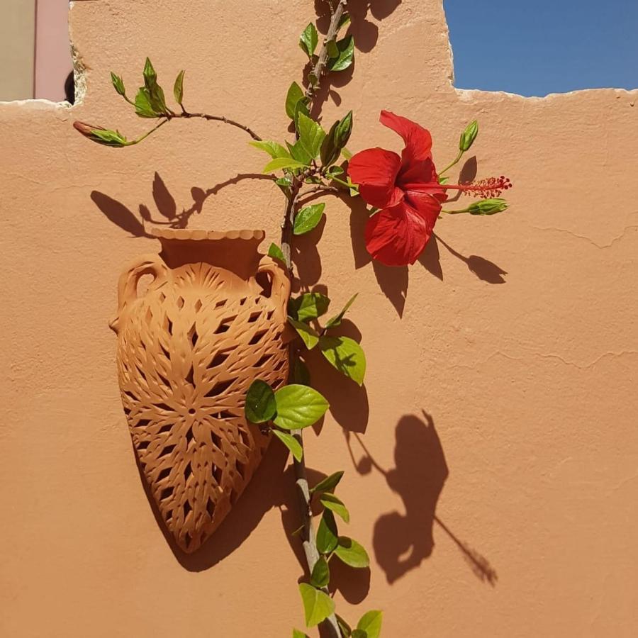 Chambres D'Hotes Les Amis Taroudant Exterior photo